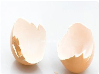 鸡蛋壳